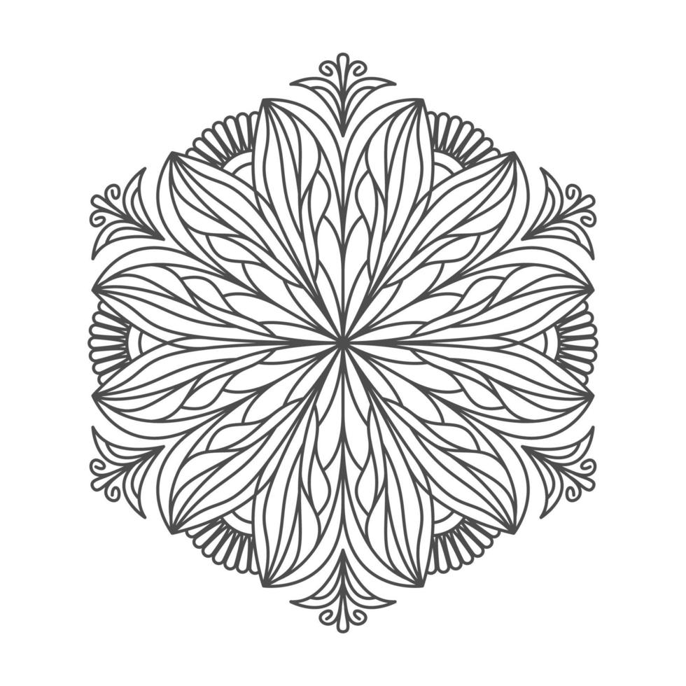 elegant and unique mandala ornaments vector