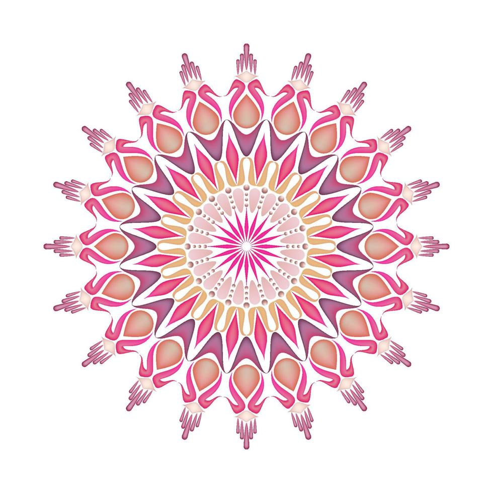 elegant and unique mandala ornaments vector