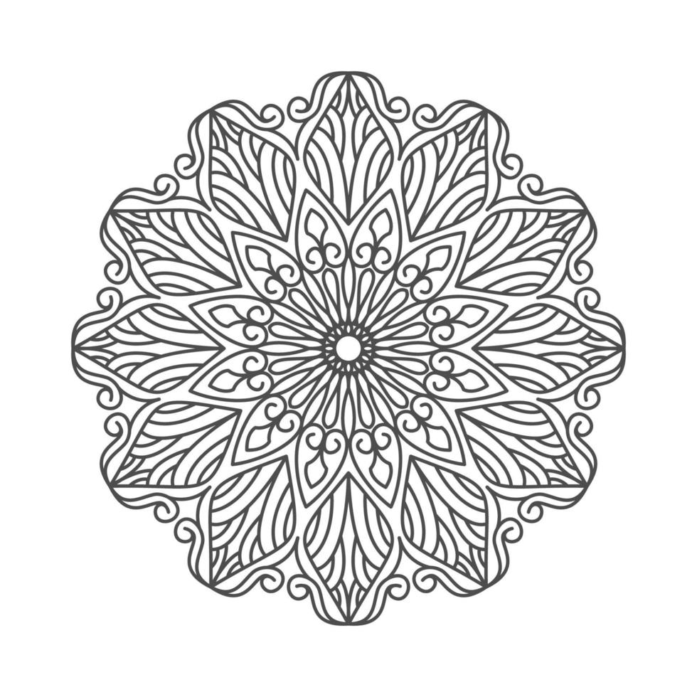 elegant and unique mandala ornaments vector