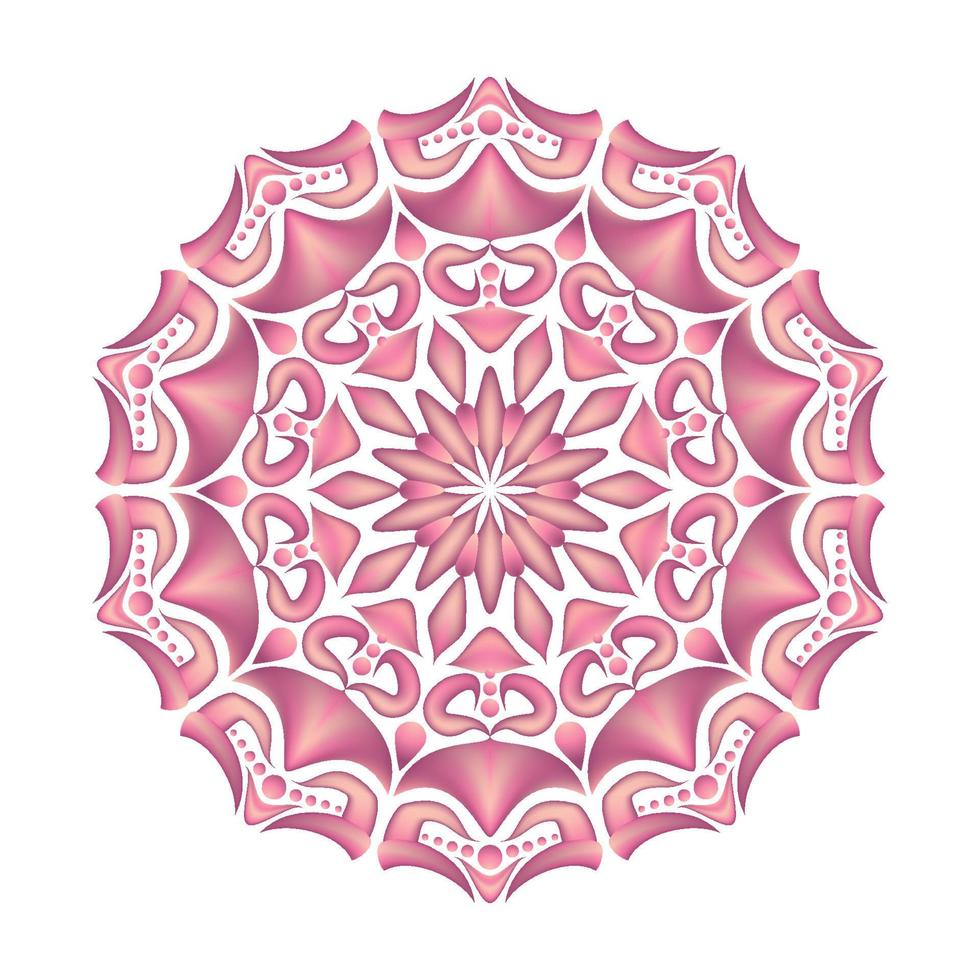 elegant and unique mandala ornaments vector