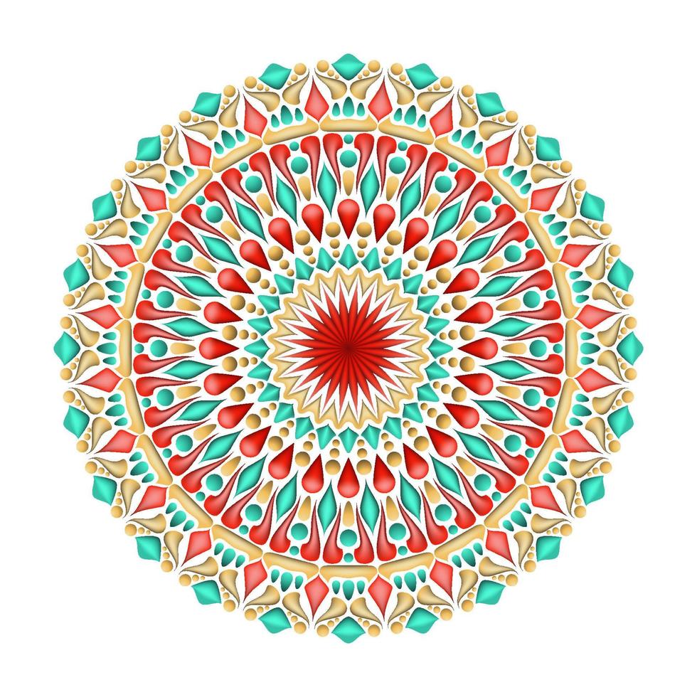 elegant and unique mandala ornaments vector