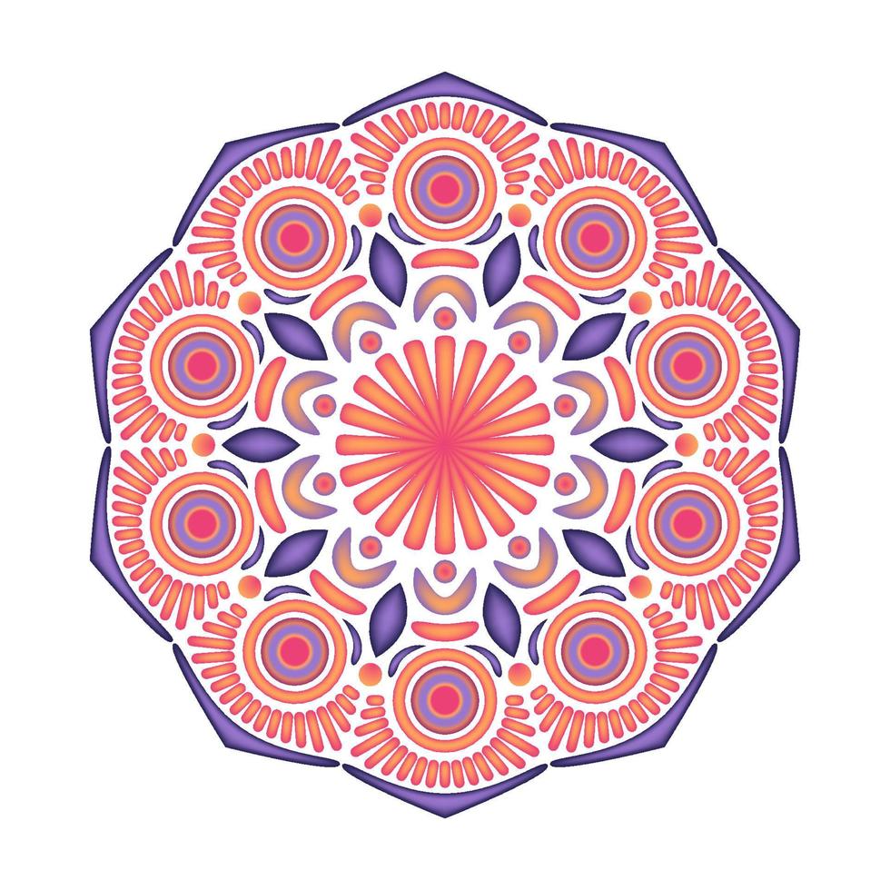 elegant and unique mandala ornaments vector