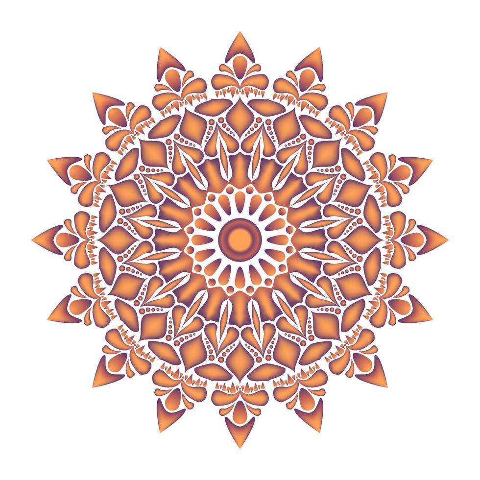 elegant and unique mandala ornaments vector