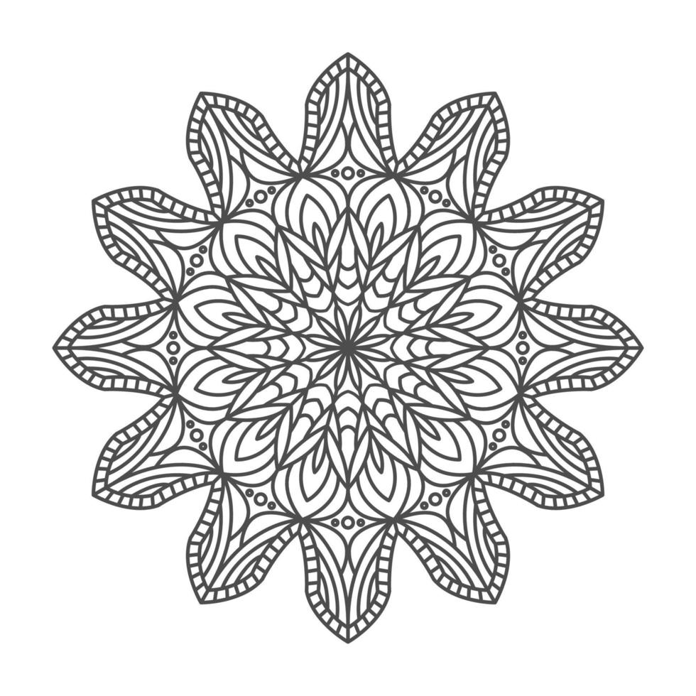 elegant and unique mandala ornaments vector