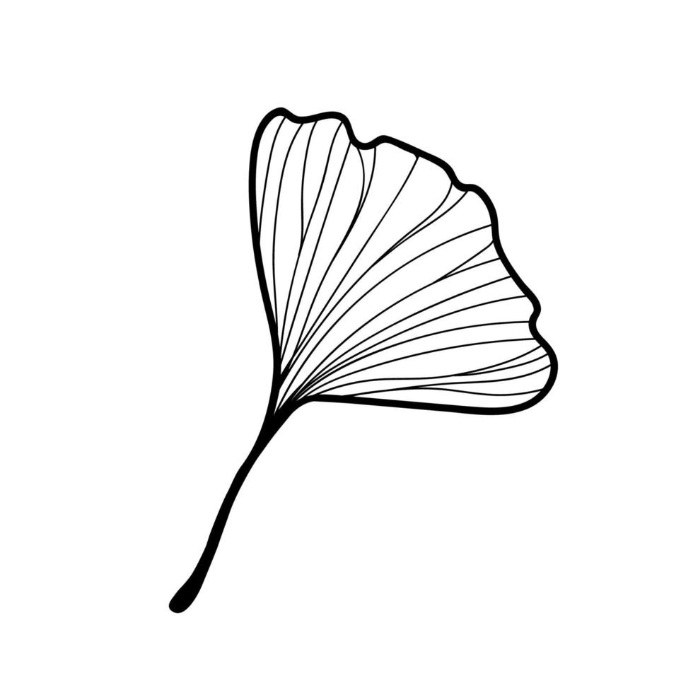 ilustración vectorial de la hoja de ginkgo biloba. diseño de arte de línea de tinta vector