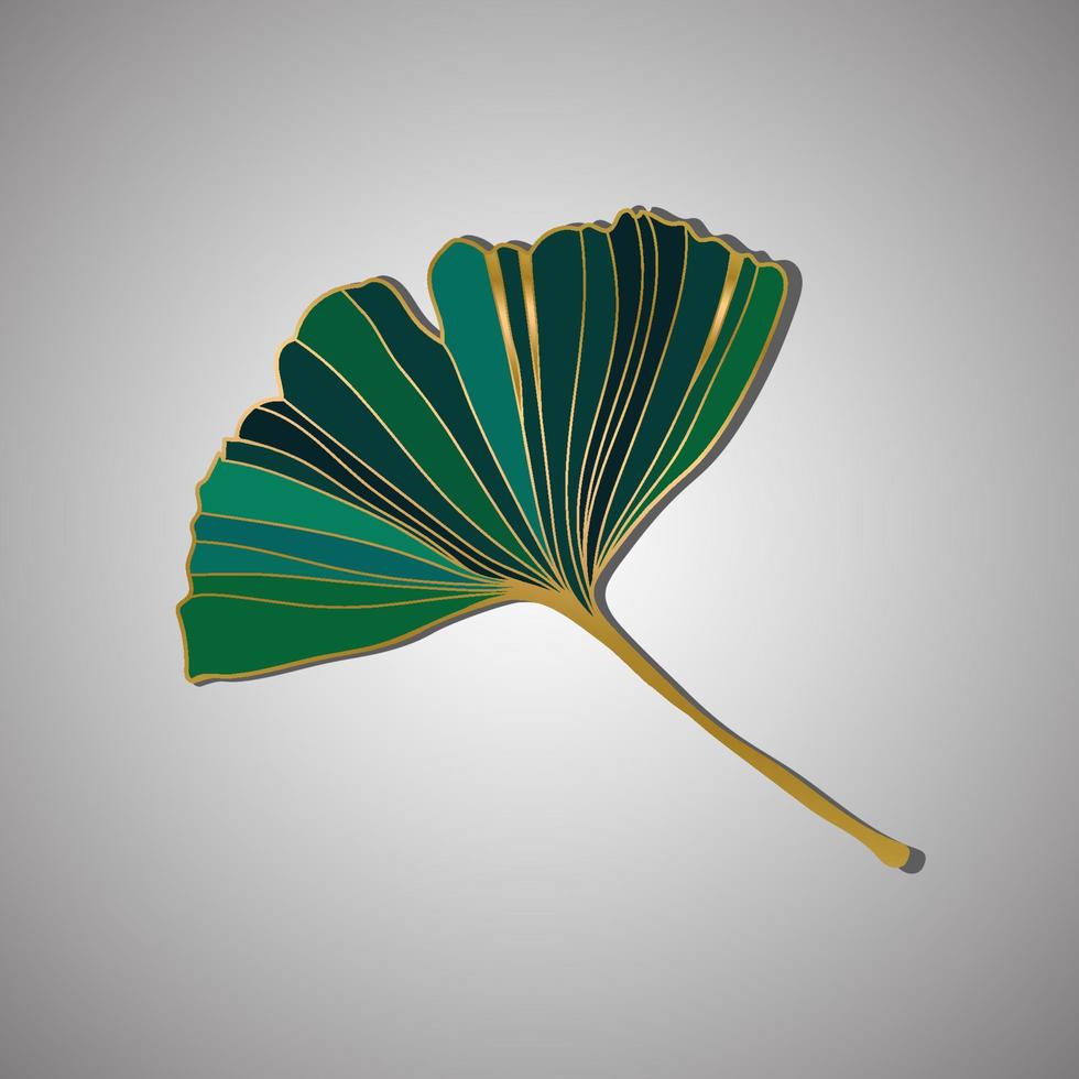 Vector illustration of ginkgo biloba leaf. ink line art design