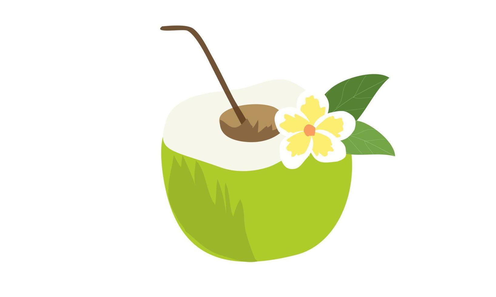 Bebida de coco fresco aislado sobre fondo blanco. vector