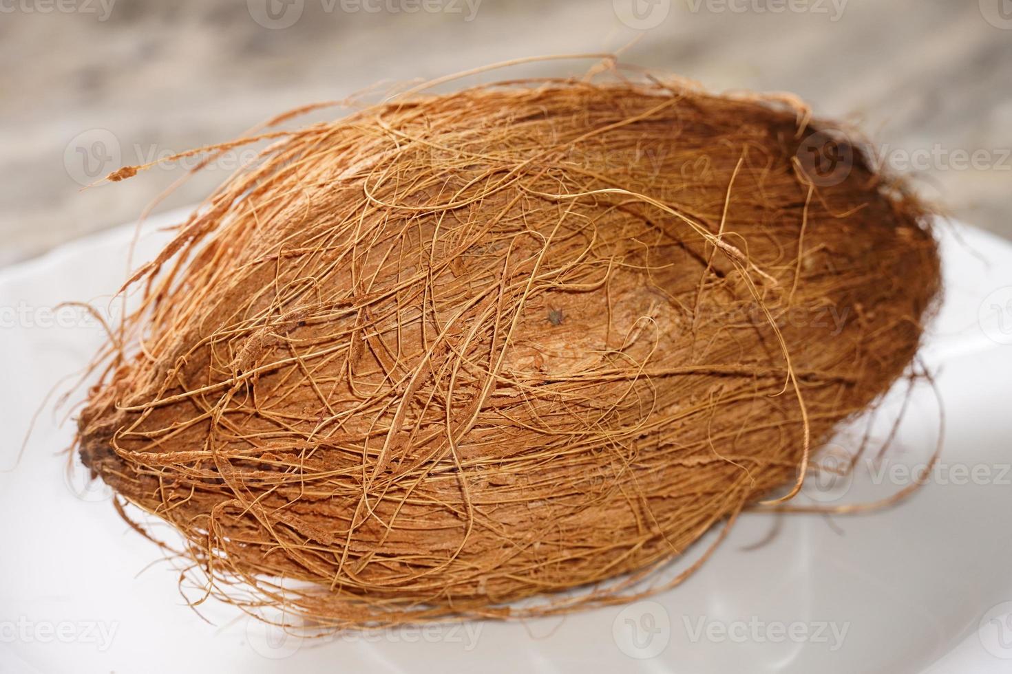 Coconut on white background hd image photo