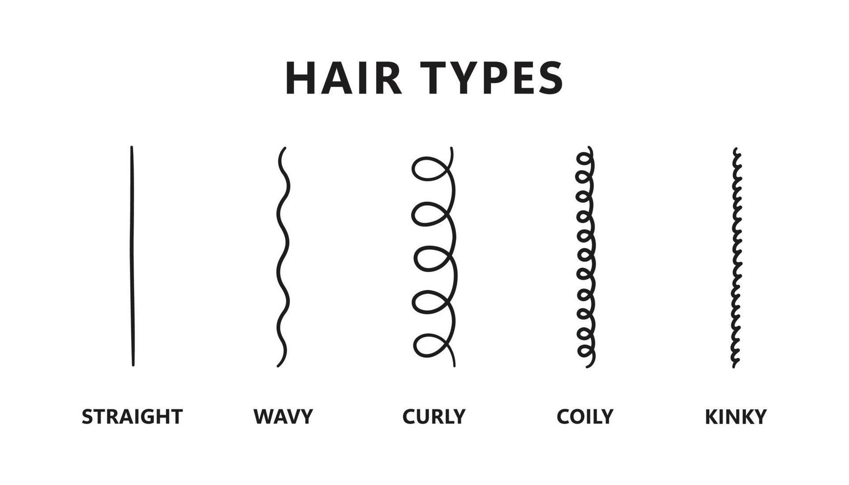 Classification of hair types - straight, wavy, curly, coily, kinky. Scheme of different types of hair. Curly girl method. Vector illustration on white background