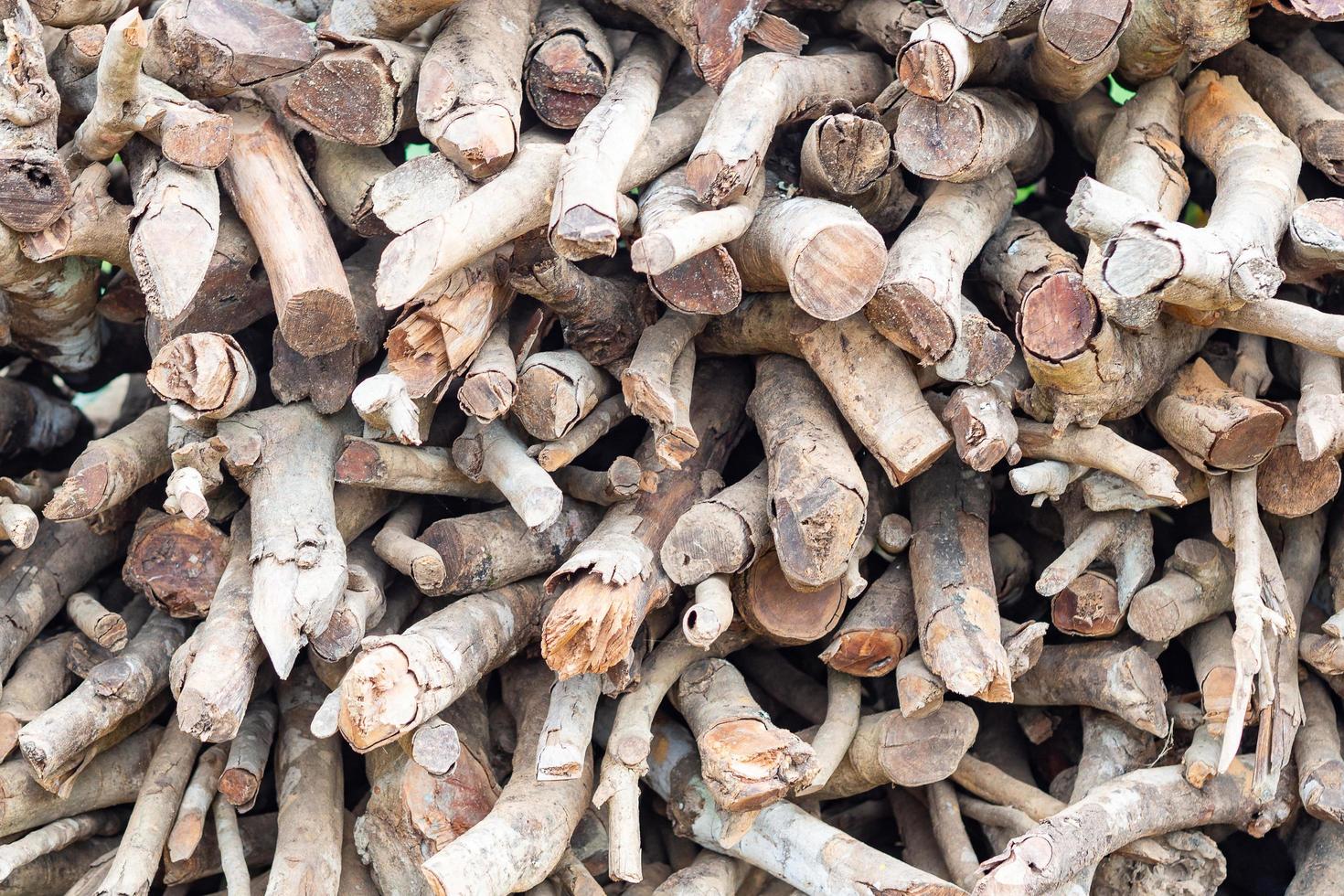 A pile of stacked firewood preprae for the winter photo