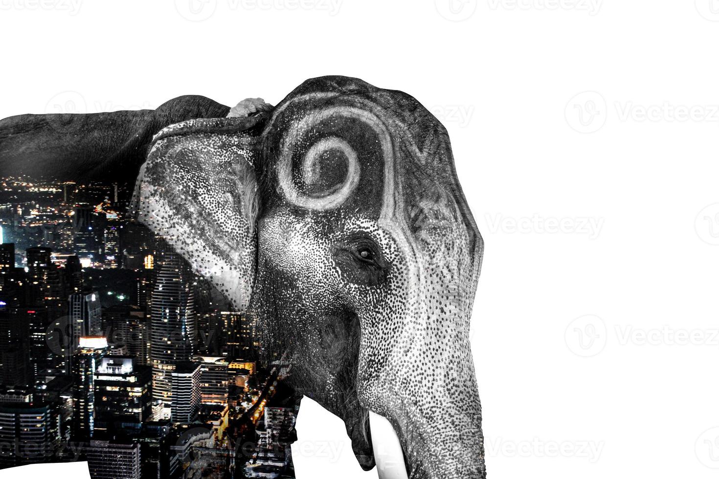 Double Exposure Effect Elephant with elephant and city to use for problems Nomadic elephants for food, elephants begging, elephants have no forest. elephant persecuto photo