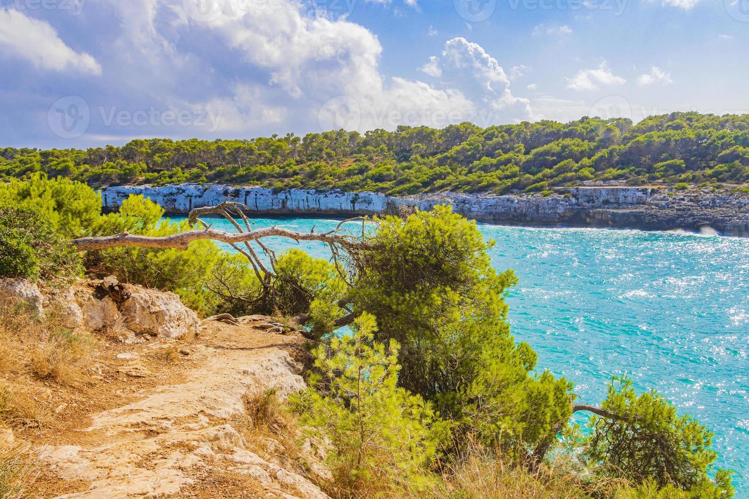 agua turquesa y sendero natural para caminar en la bahía de mallorca españa. foto