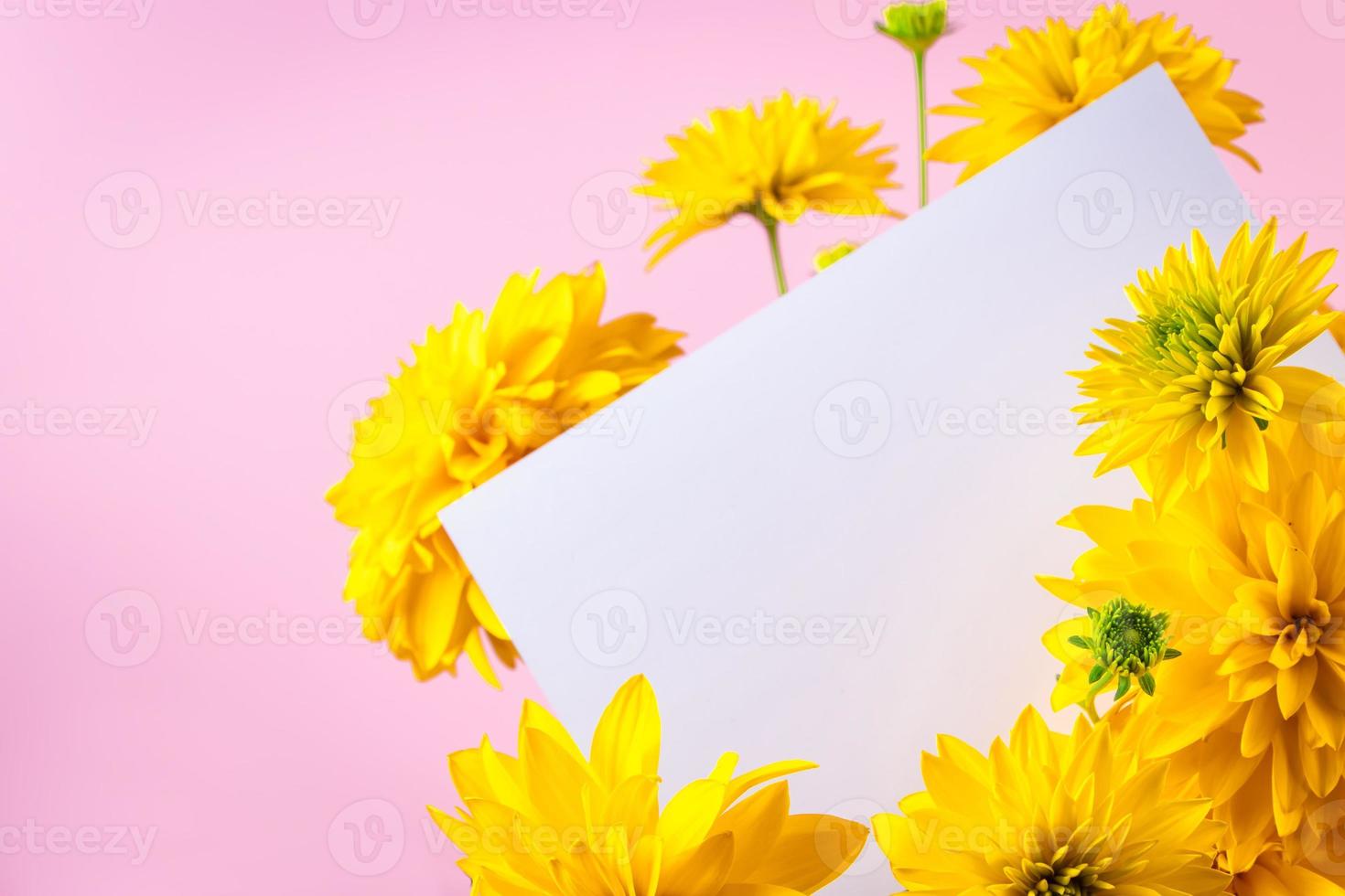 Blank greeting card in bouquet of yellow summer flowers on pink background. photo