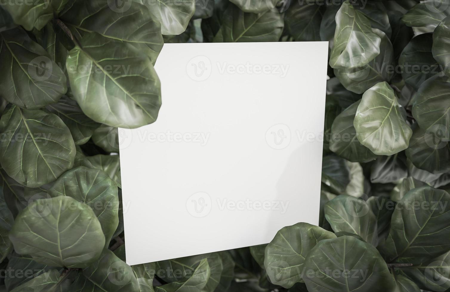 Mock up white paper on Tropical green leaf background.,3d model and illustration. photo