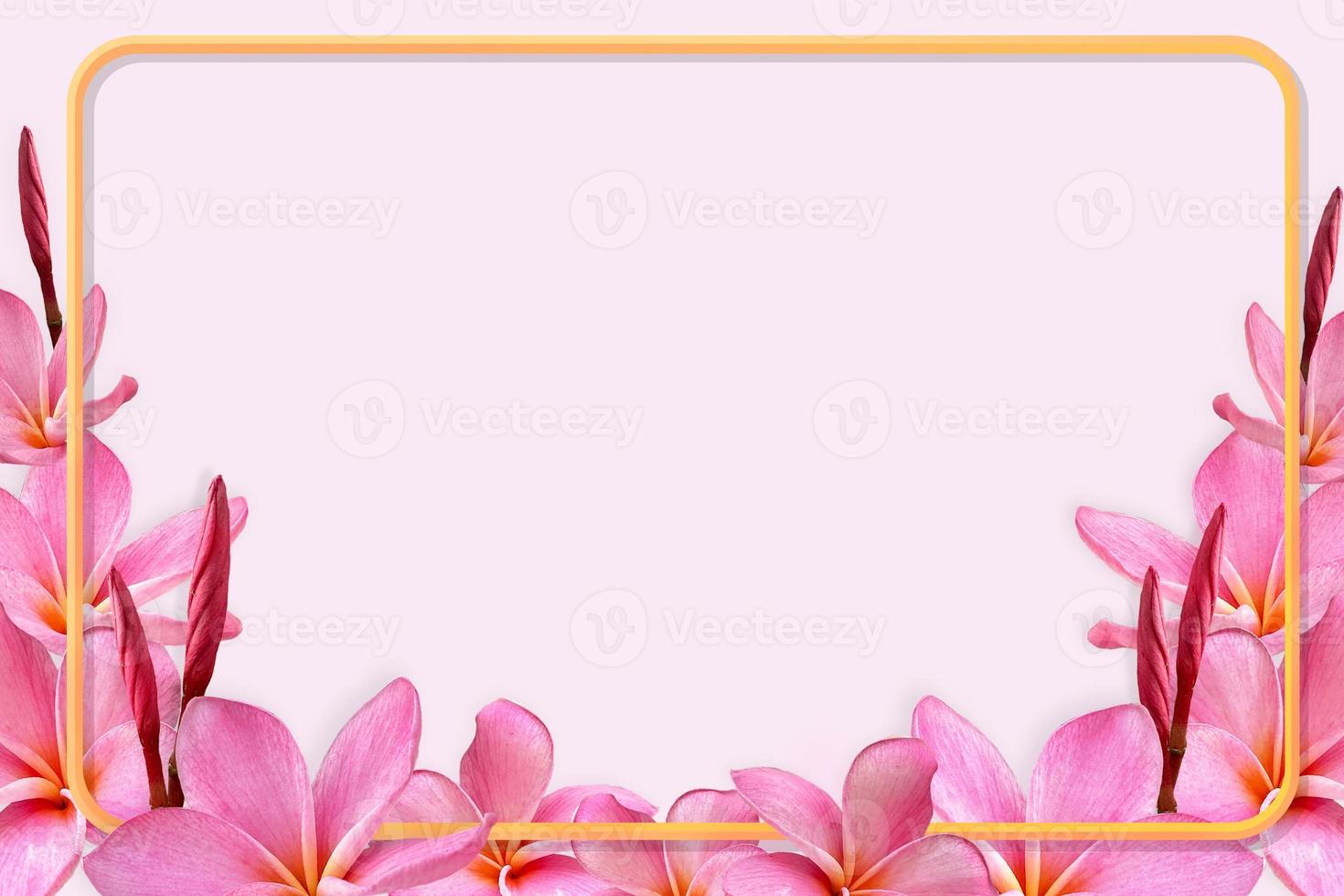 Empty white paper blank on Pink Plumeria flower frame. photo