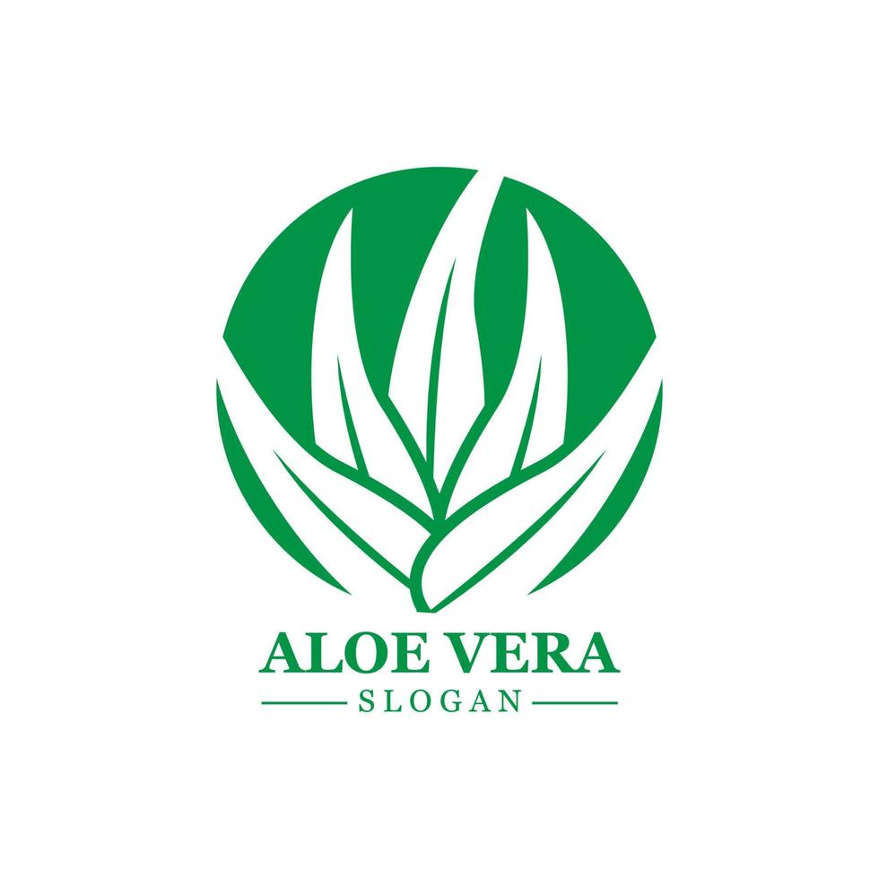 planta verde aloe vera logo vector icono símbolo muchos beneficios