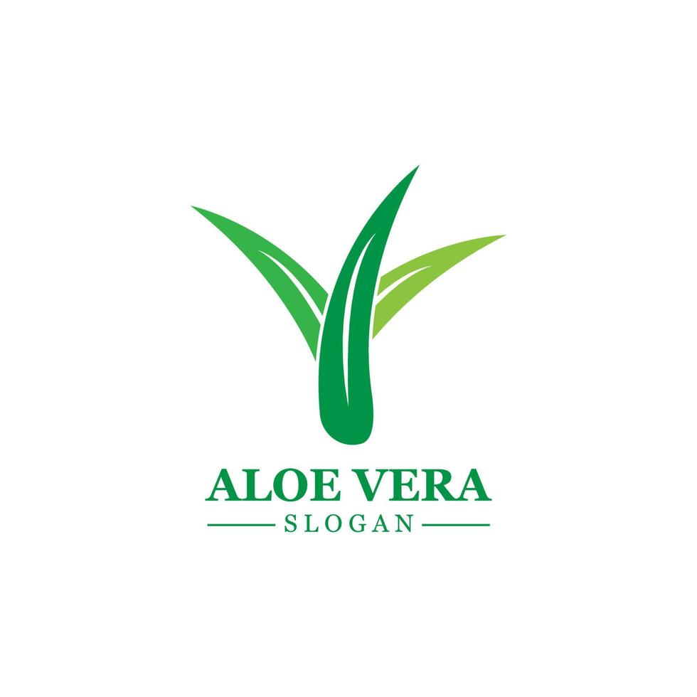 Green plant aloe vera logo vector icon symbol many benefits