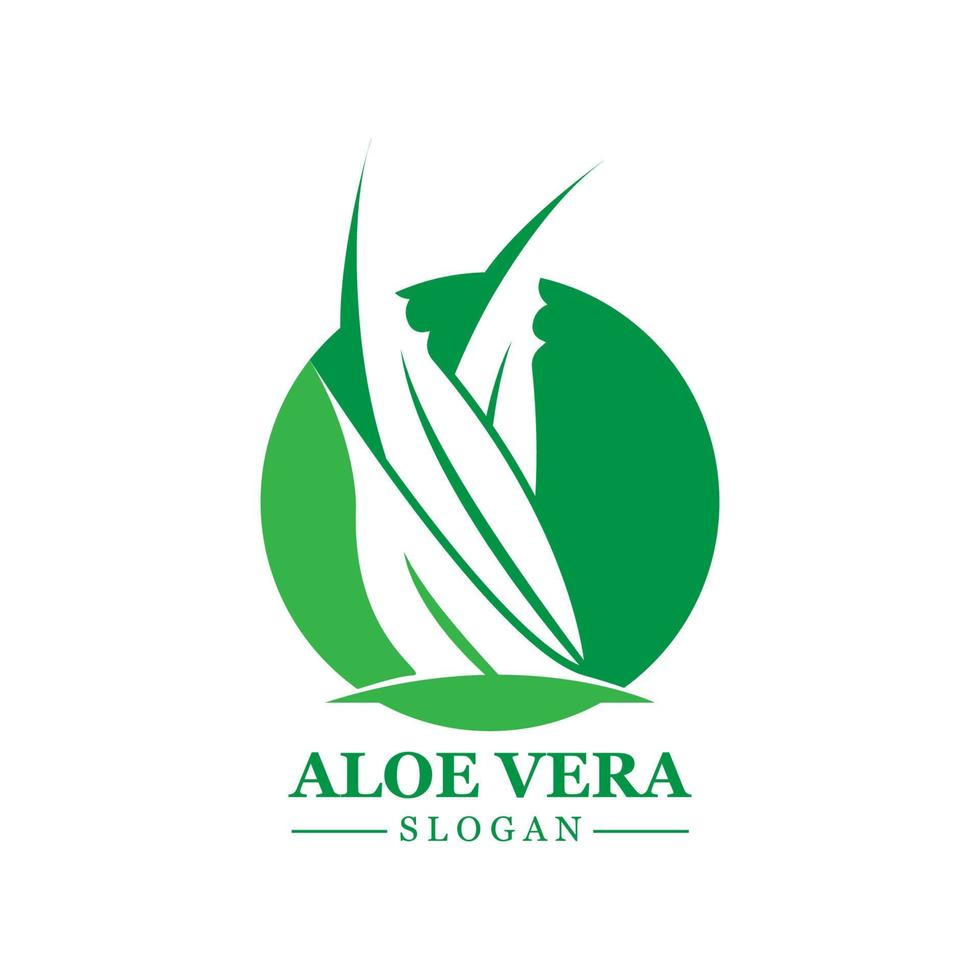 Green plant aloe vera logo vector icon symbol many benefits