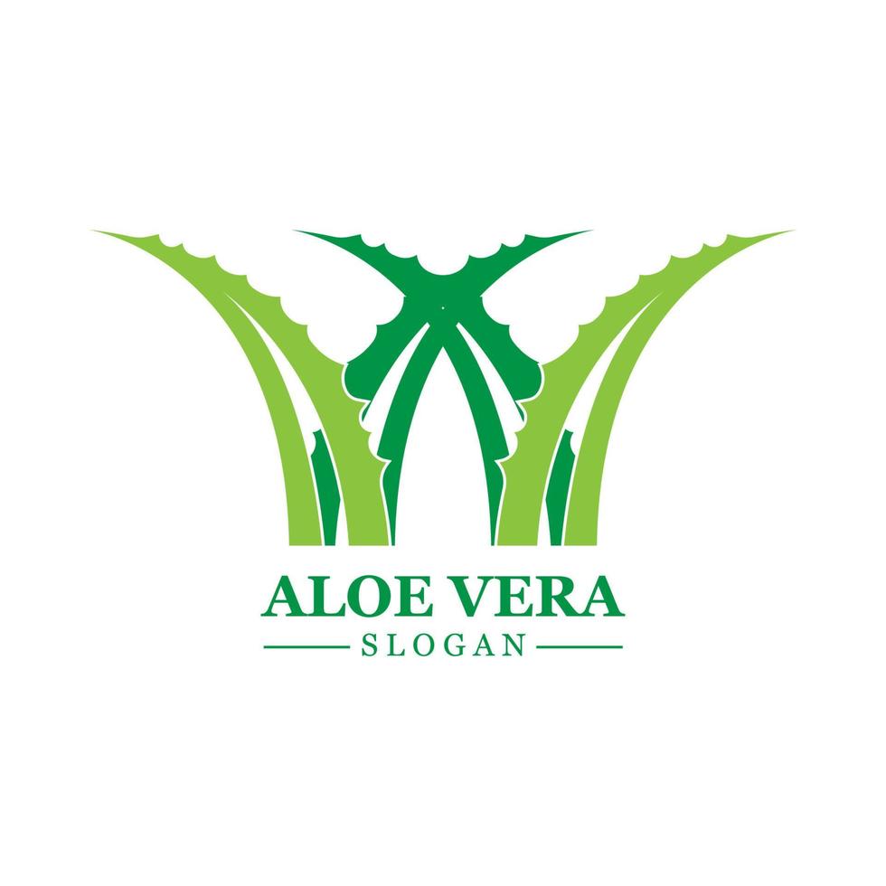 planta verde aloe vera logo vector icono símbolo muchos beneficios