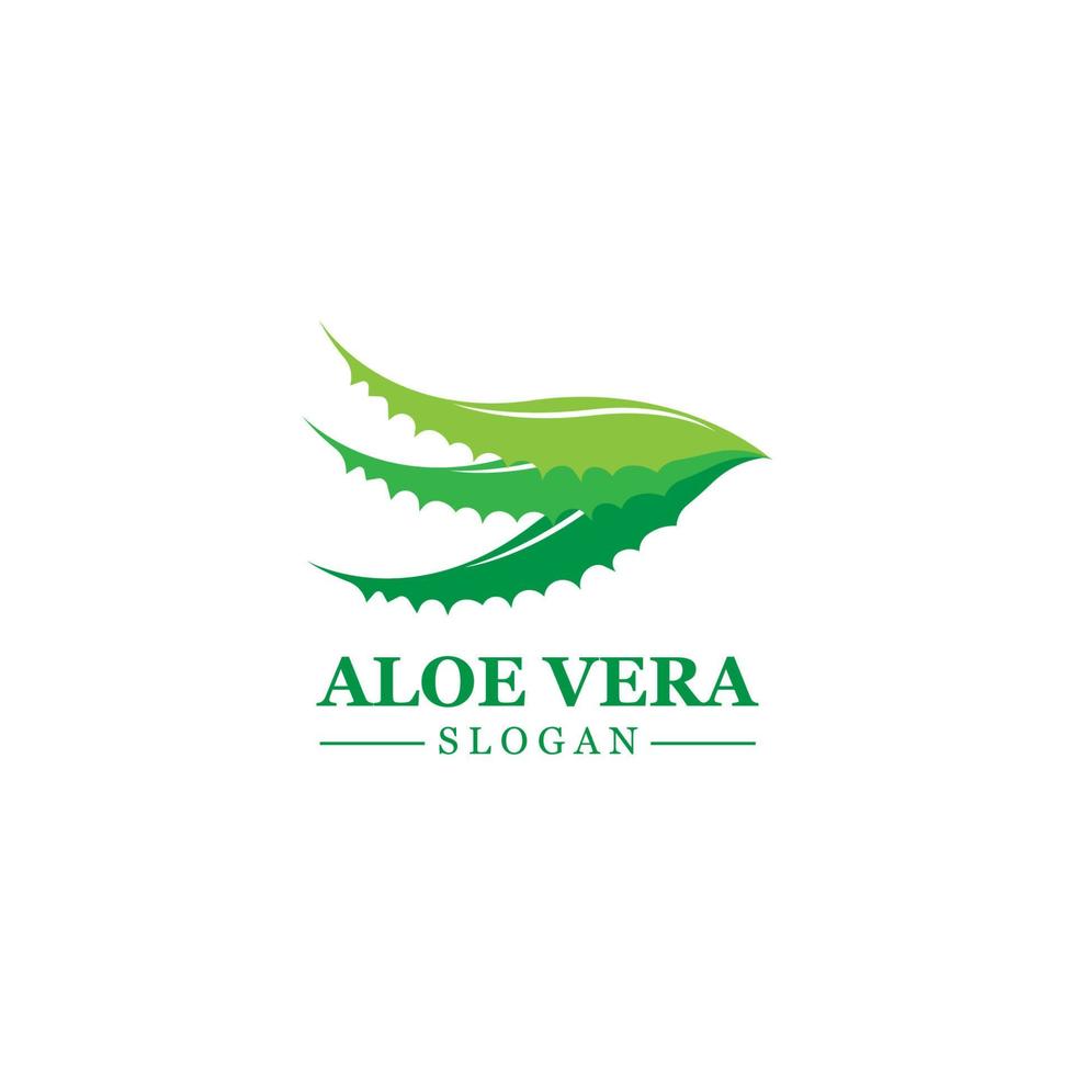 Green plant aloe vera logo vector icon symbol many benefits