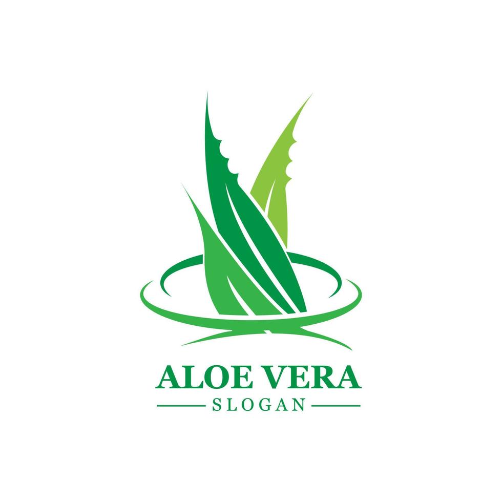 Green plant aloe vera logo vector icon symbol many benefits