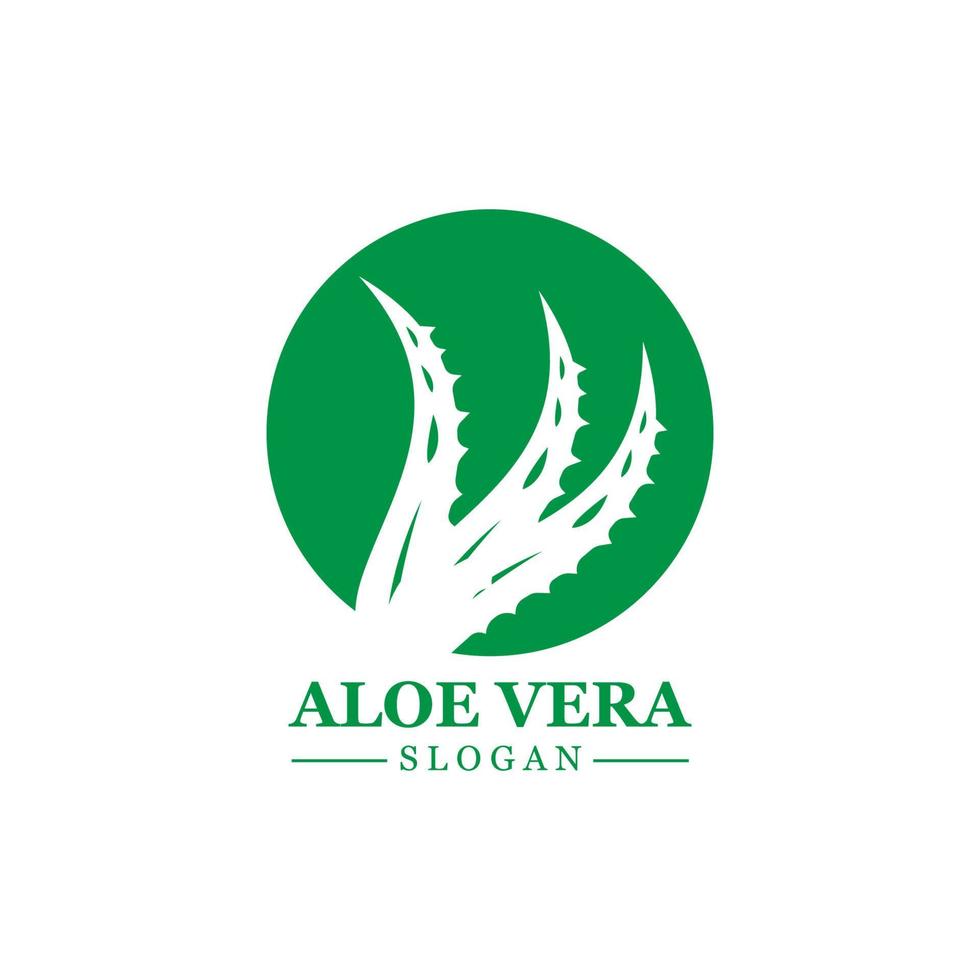 planta verde aloe vera logo vector icono símbolo muchos beneficios