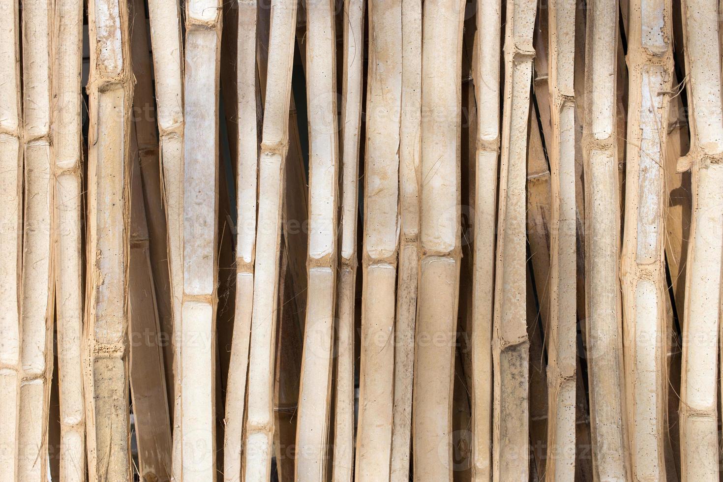 inside bamboo texture wood background photo