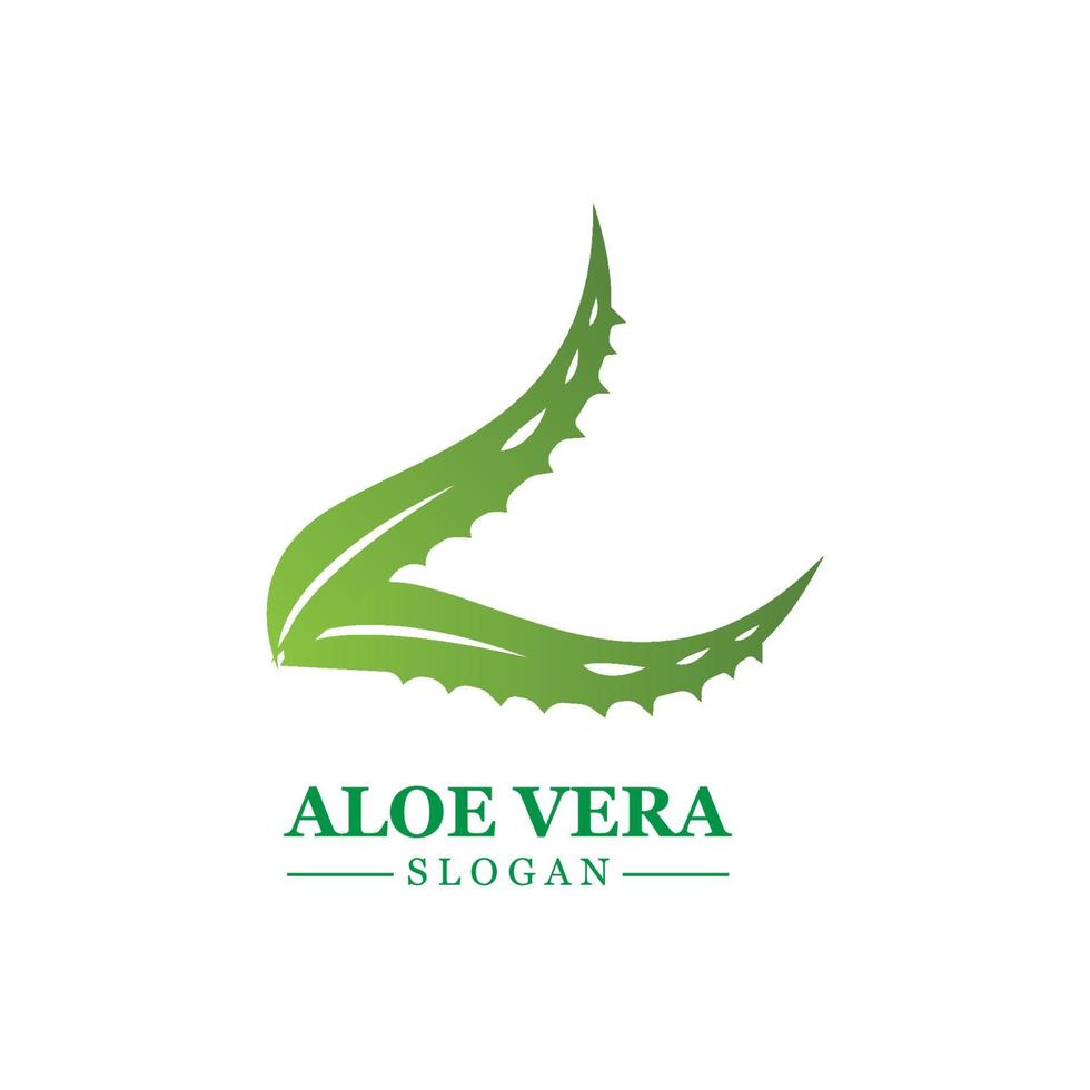 planta verde aloe vera logo vector icono símbolo muchos beneficios