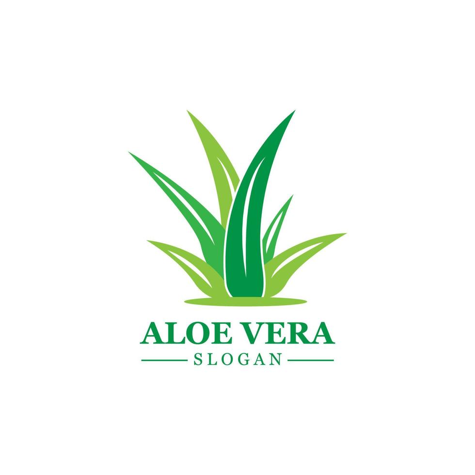 Green plant aloe vera logo vector icon symbol many benefits