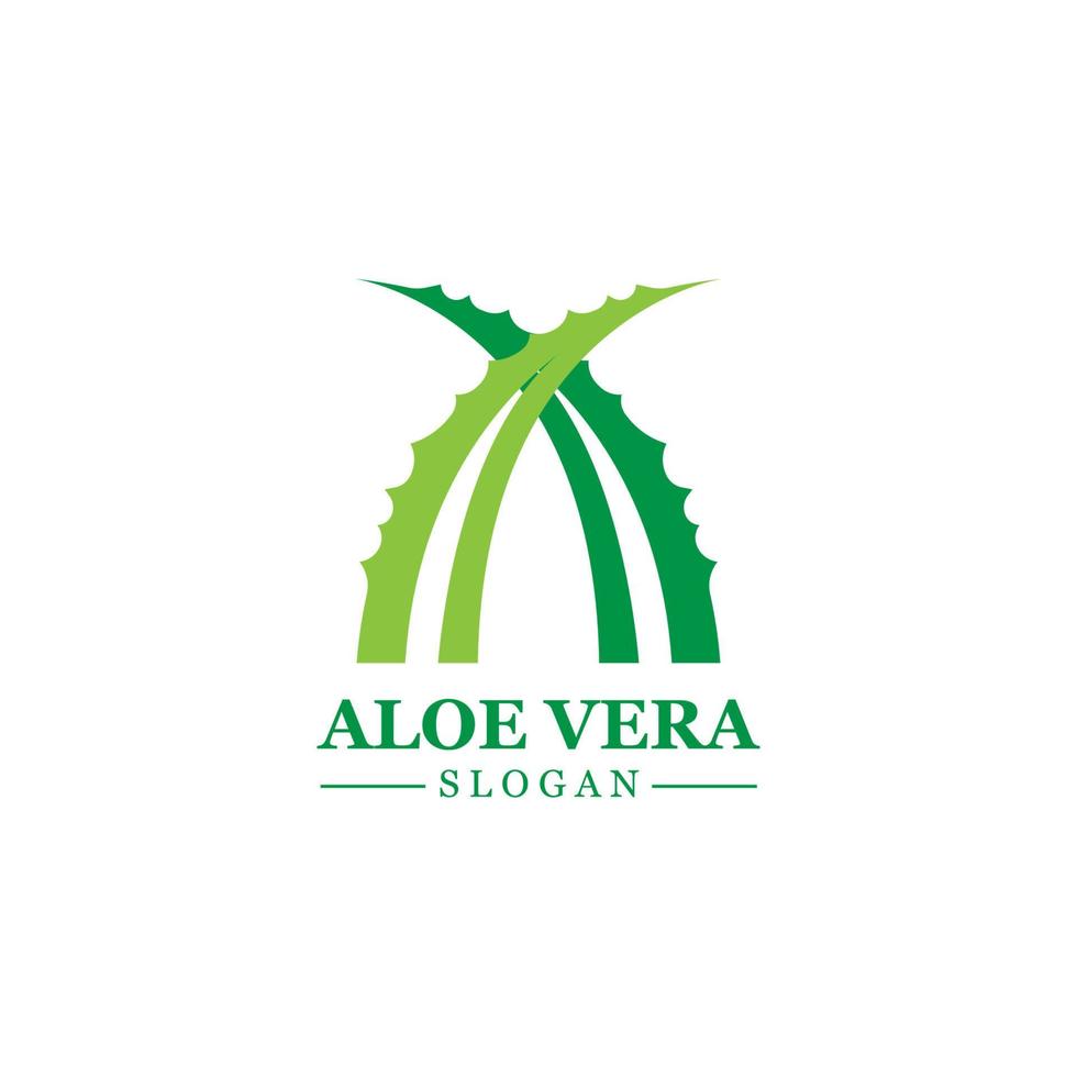 planta verde aloe vera logo vector icono símbolo muchos beneficios