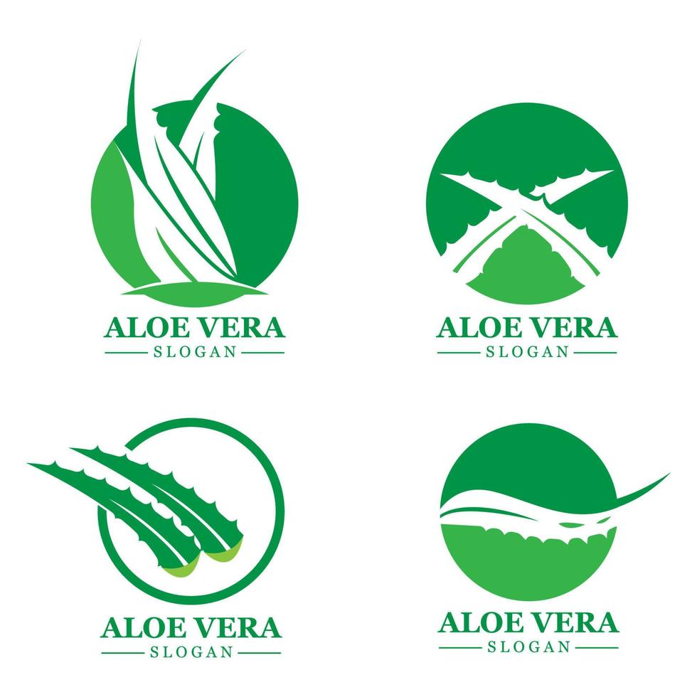 Green plant aloe vera logo vector icon symbol many benefits