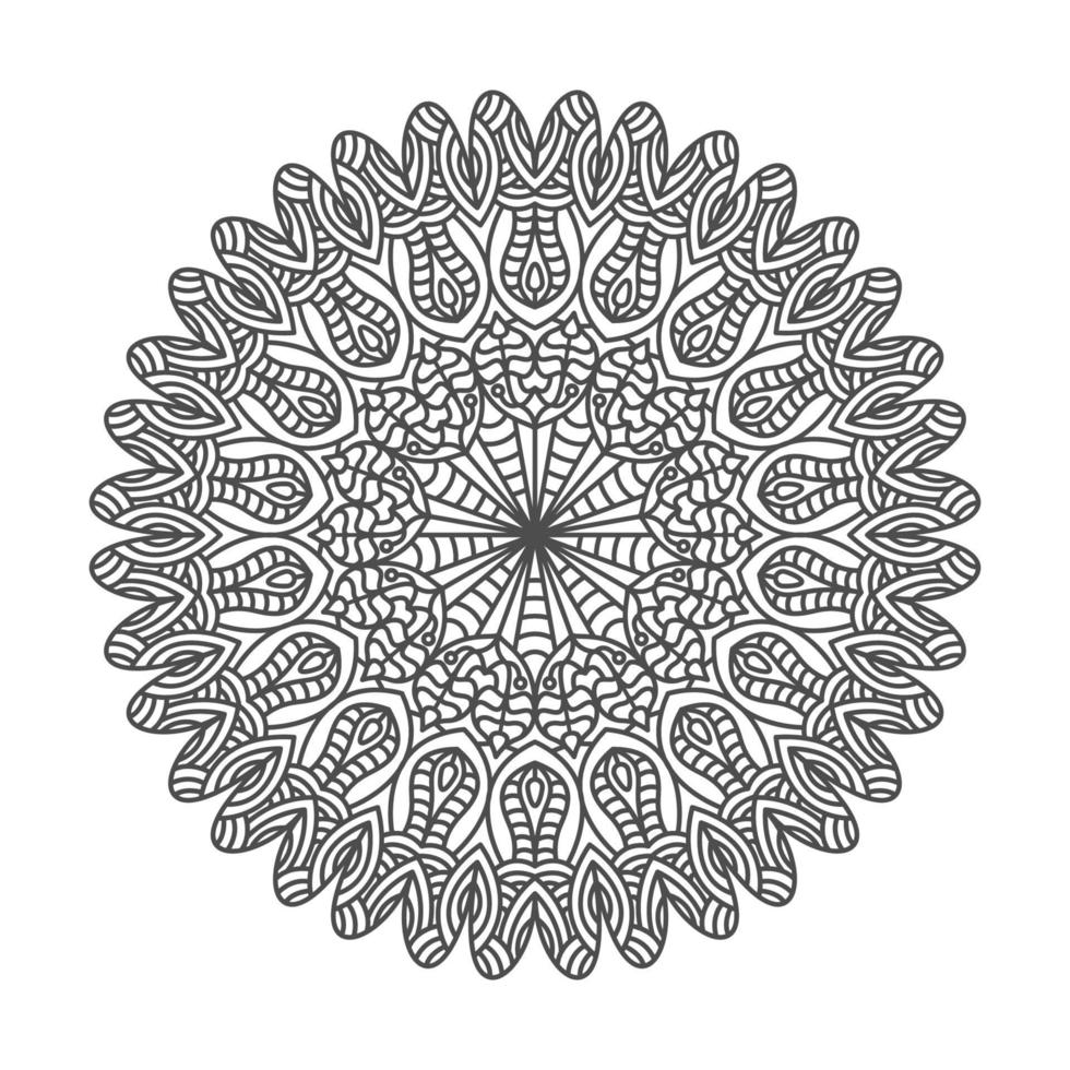 elegant and unique mandala ornaments vector