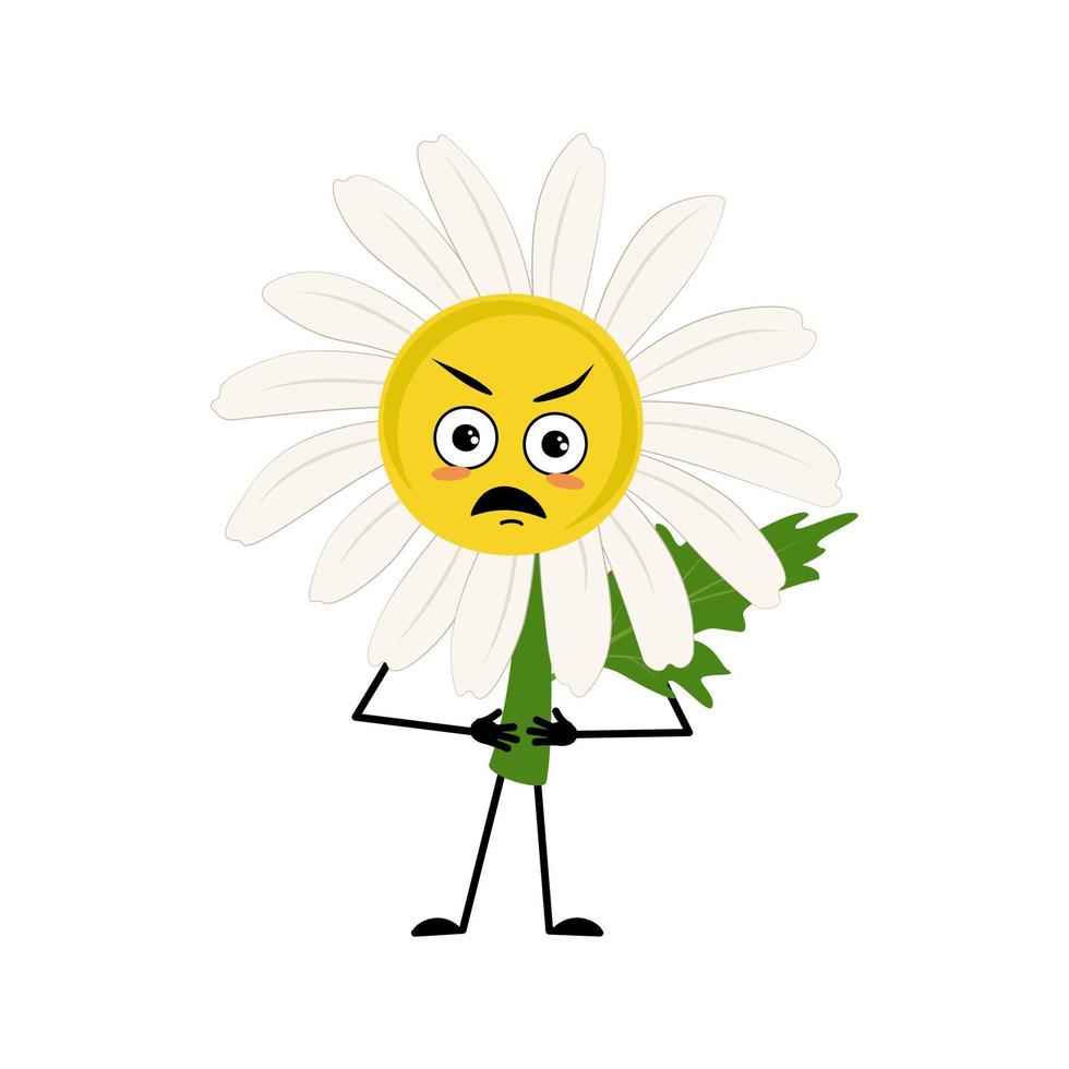 Chamomile character with angry emotions, grumpy face, furious eyes, arms and legs. Person with irritated expression, daisy flower. Vector illustration