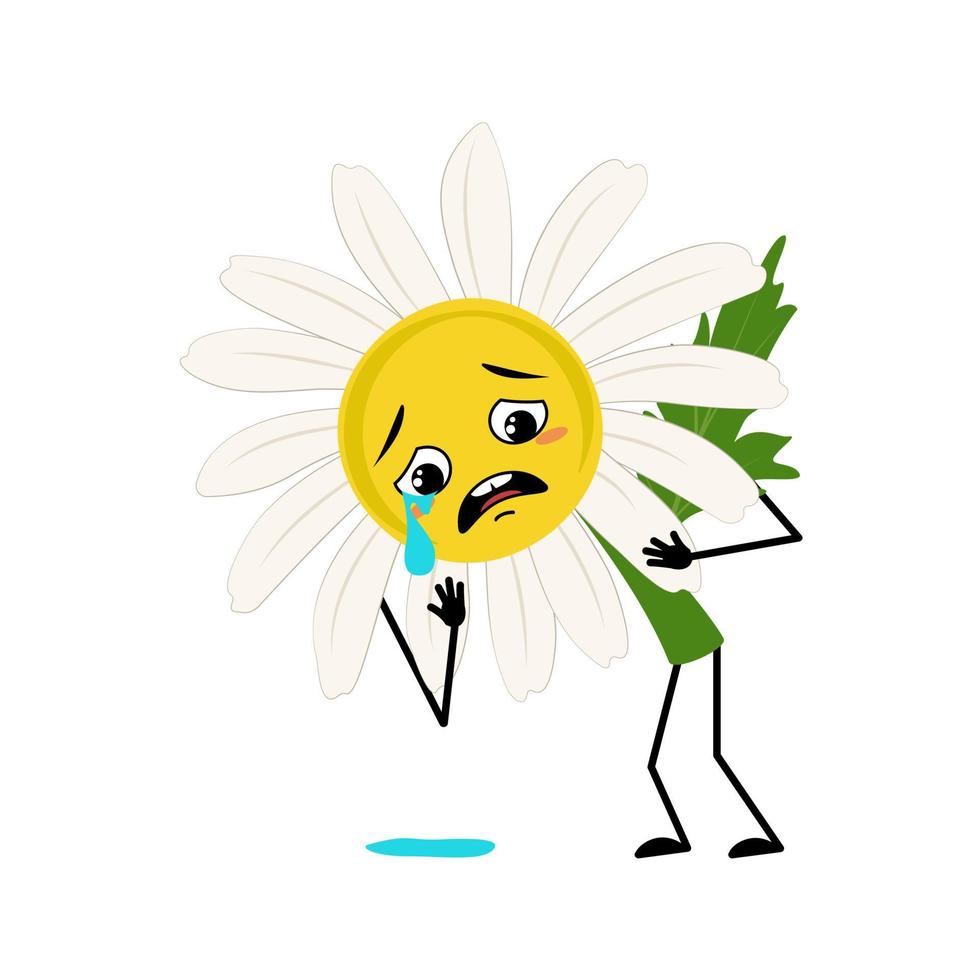 Chamomile character with crying and tears emotion, sad face, depressive eyes, arms and legs. Person with melancholy expression, daisy flower. Vector flat illustration