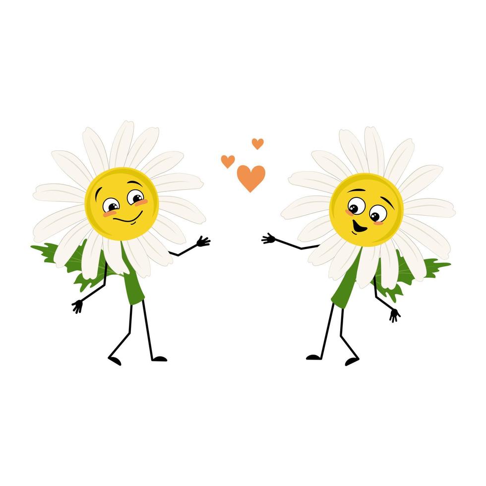 Chamomile character with love emotions, smile face, arms and legs. Person with happy expression, daisy flower hero. Vector flat illustration