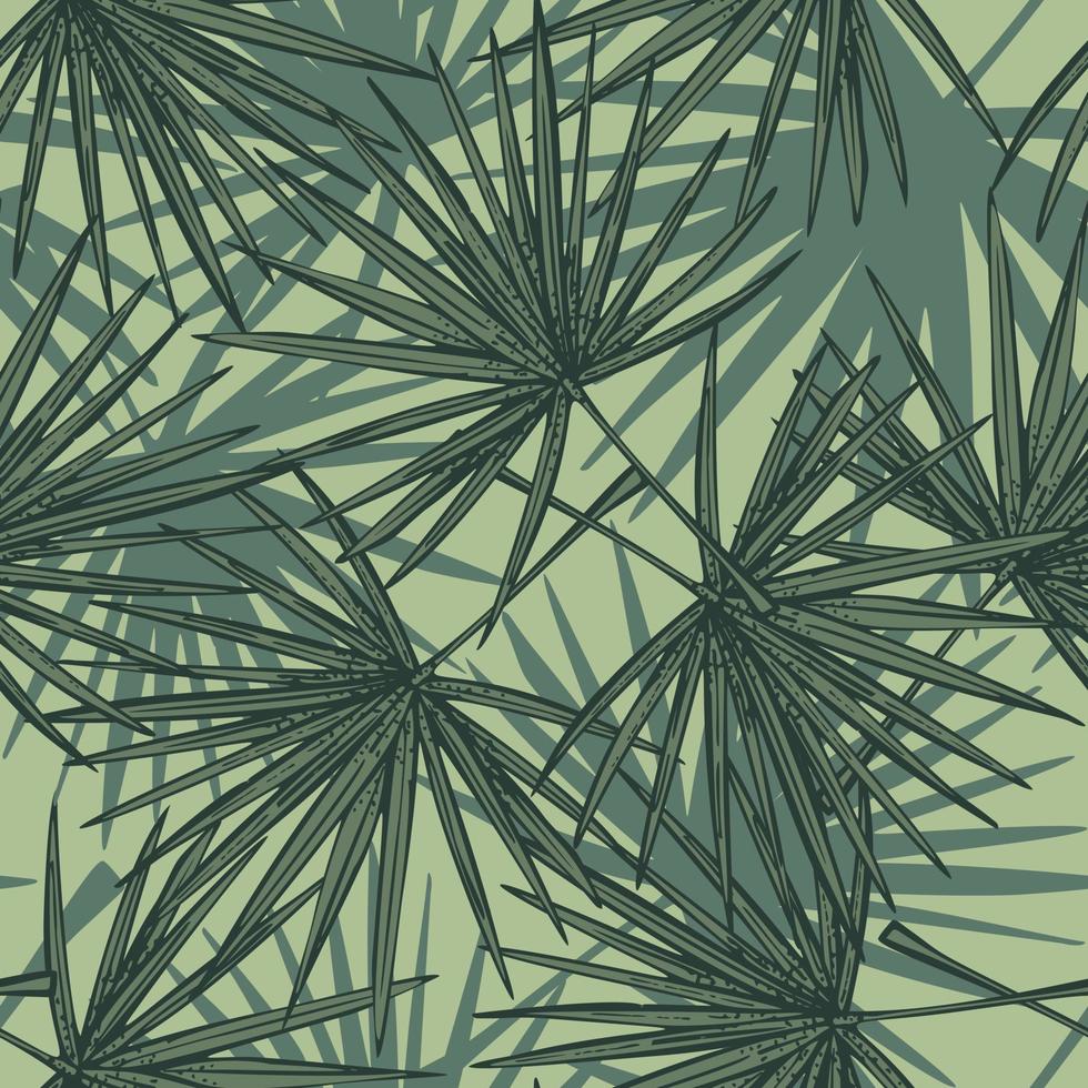 hojas de palmera de abanico de patrones sin fisuras. rama tropical retro en estilo de grabado. vector