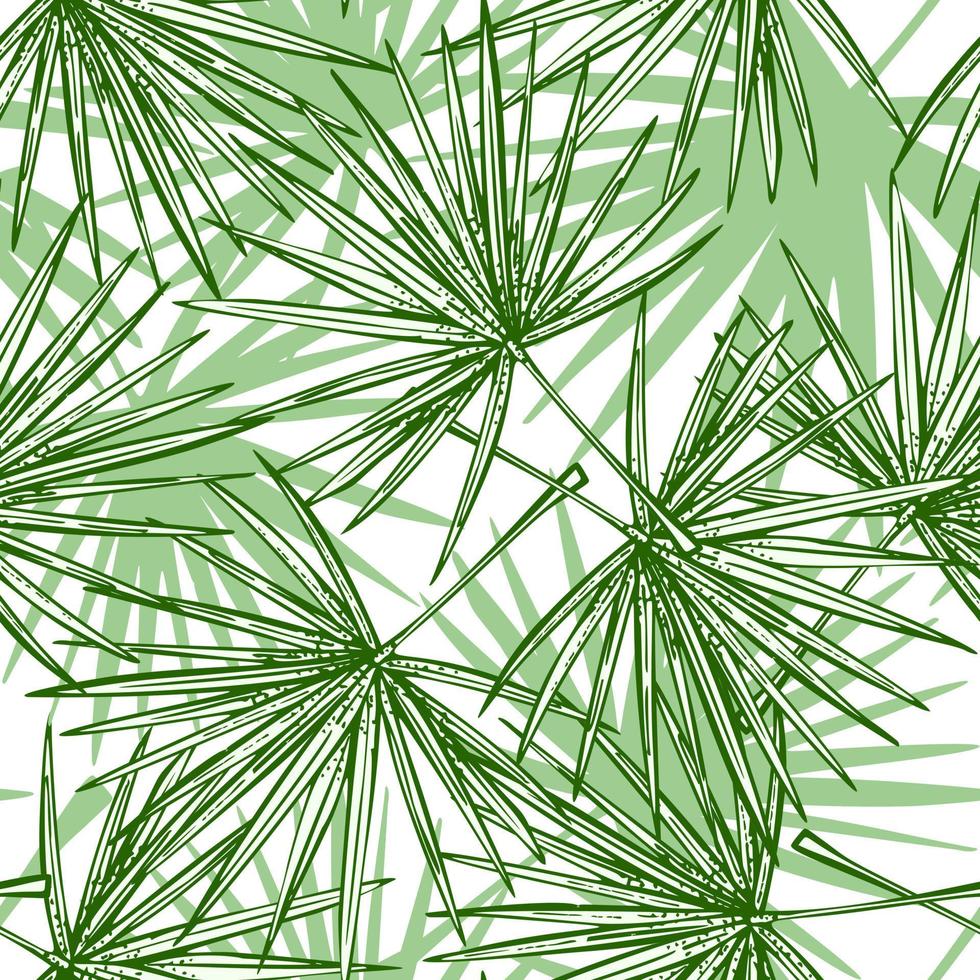 hojas de palmera de abanico de patrones sin fisuras. rama tropical retro en estilo de grabado. vector