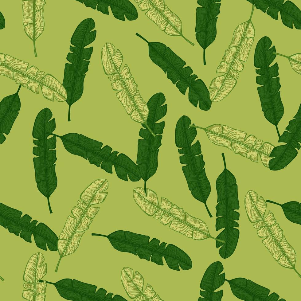 Banana leaves seamless pattern.Vintage tropical branch in engraving style. vector