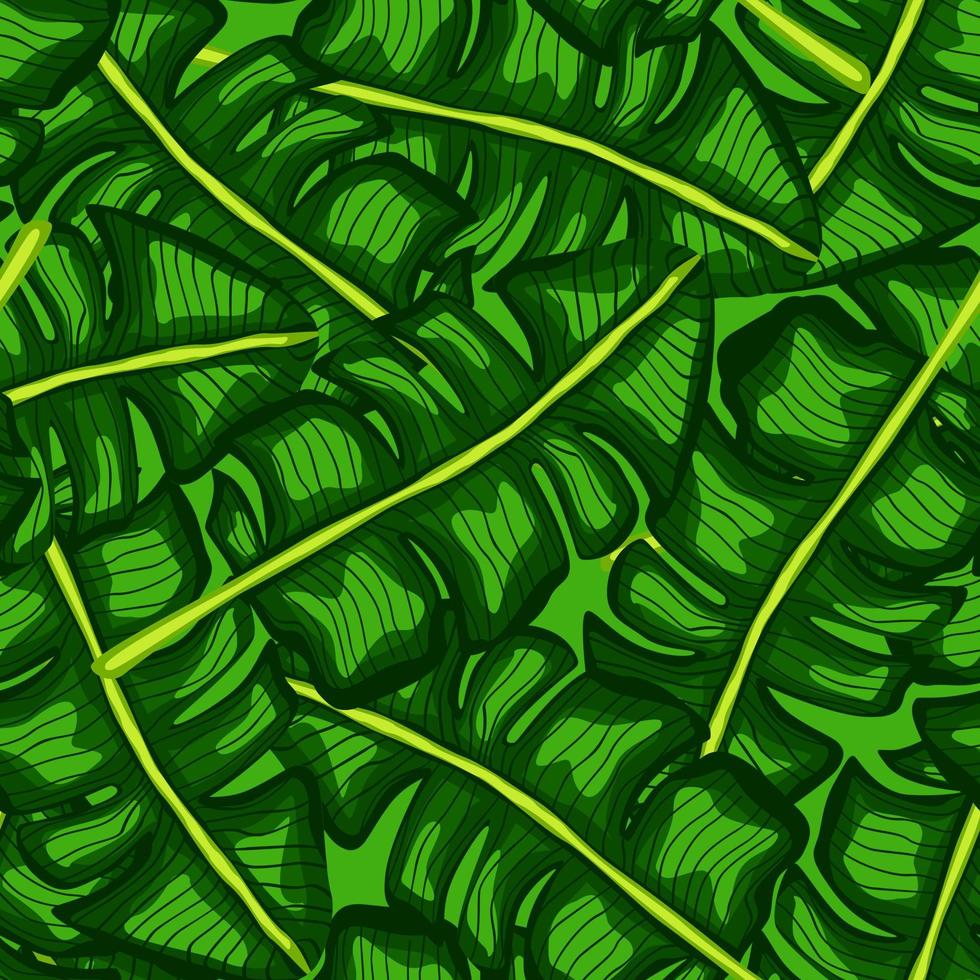 Banana leaf tropical seamless pattern. Jungle leaves background. vector