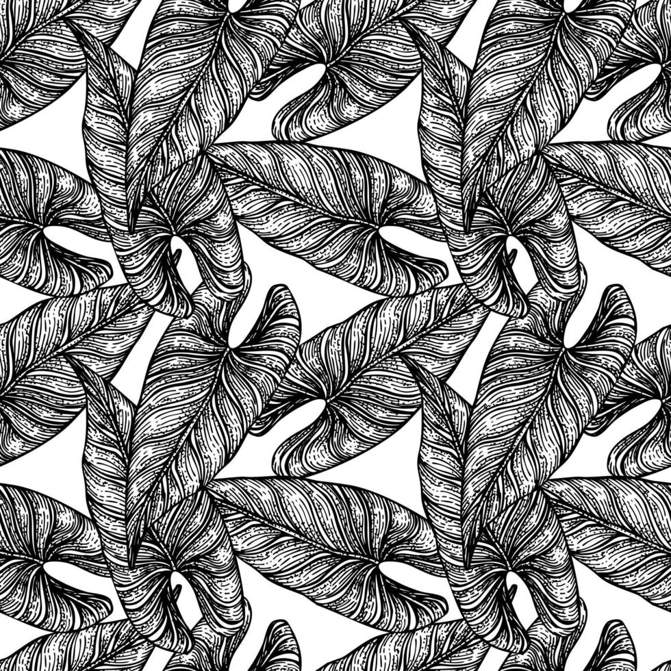 Tropical araceae leaf seamless pattern. Jungle leaves background. vector