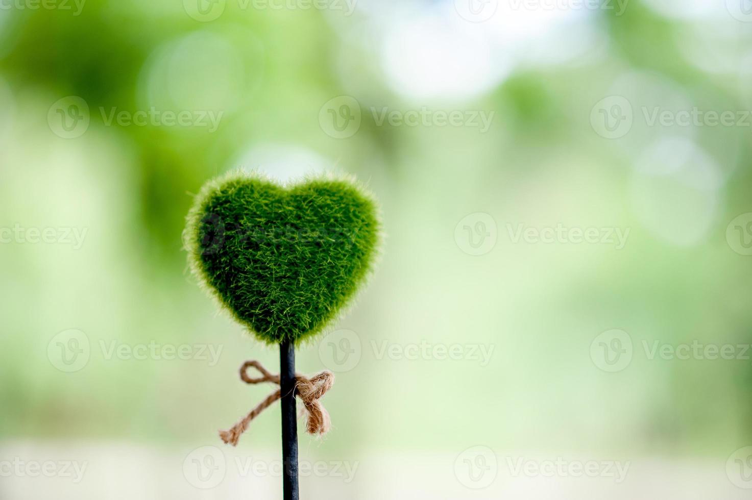 Beautiful green hand and heart images Valentines Day concept With copy space photo