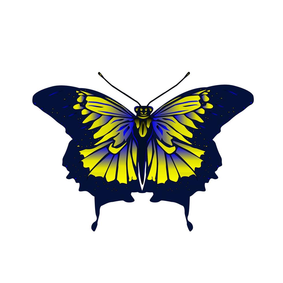 Tropical blue-yellow butterfly. vector