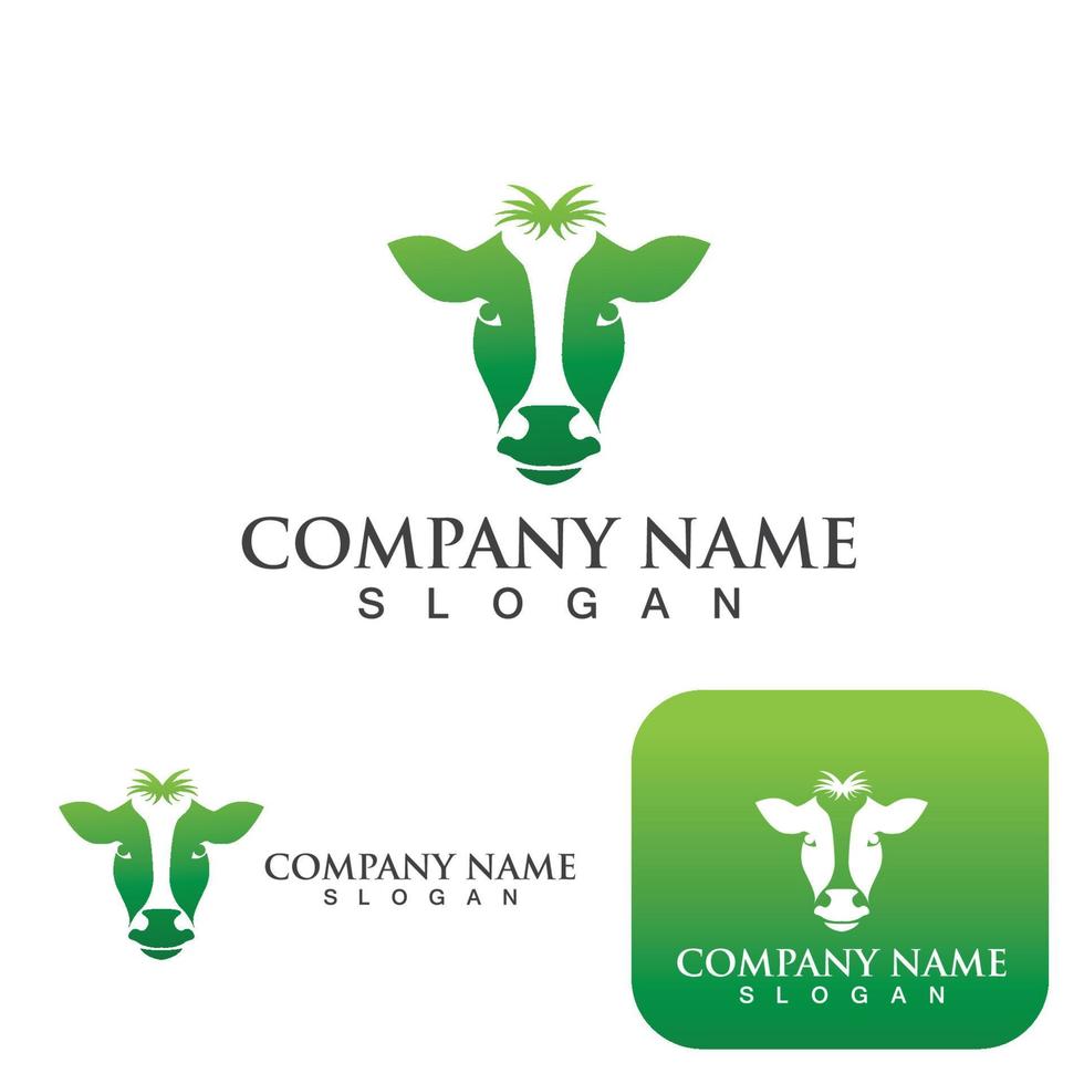 Cow head and  logo vector template