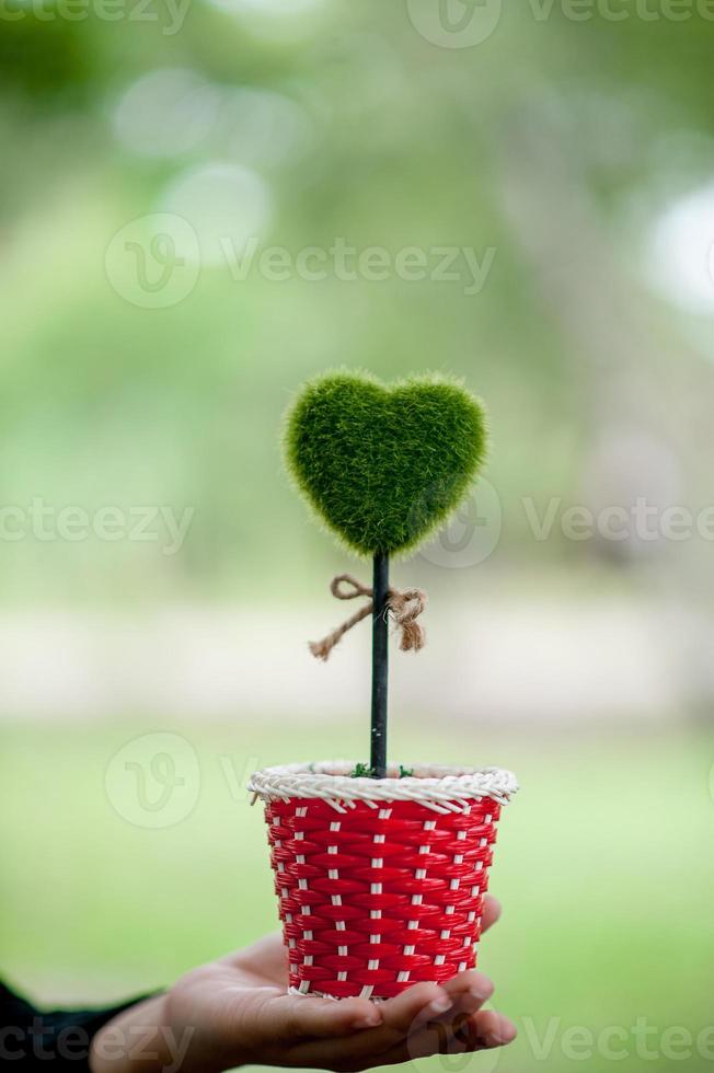 hermosa mano verde y corazón imágenes concepto de día de san valentín con espacio de copia foto