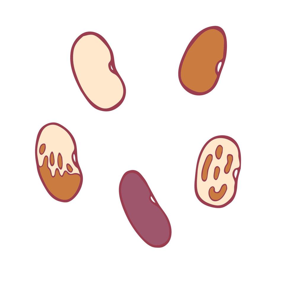 Hand drawn doodle vector isolated beans, great design for any purposes.