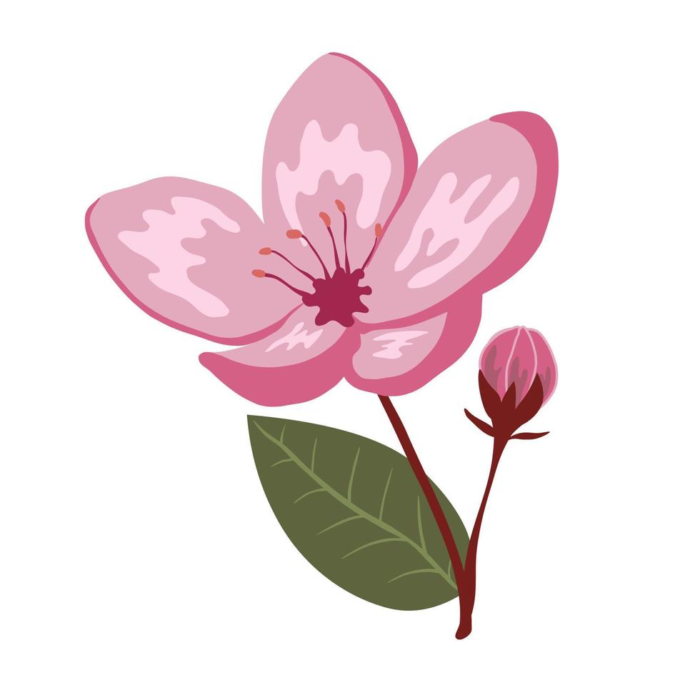 Cute spring cherry blossom vector isolated illustration