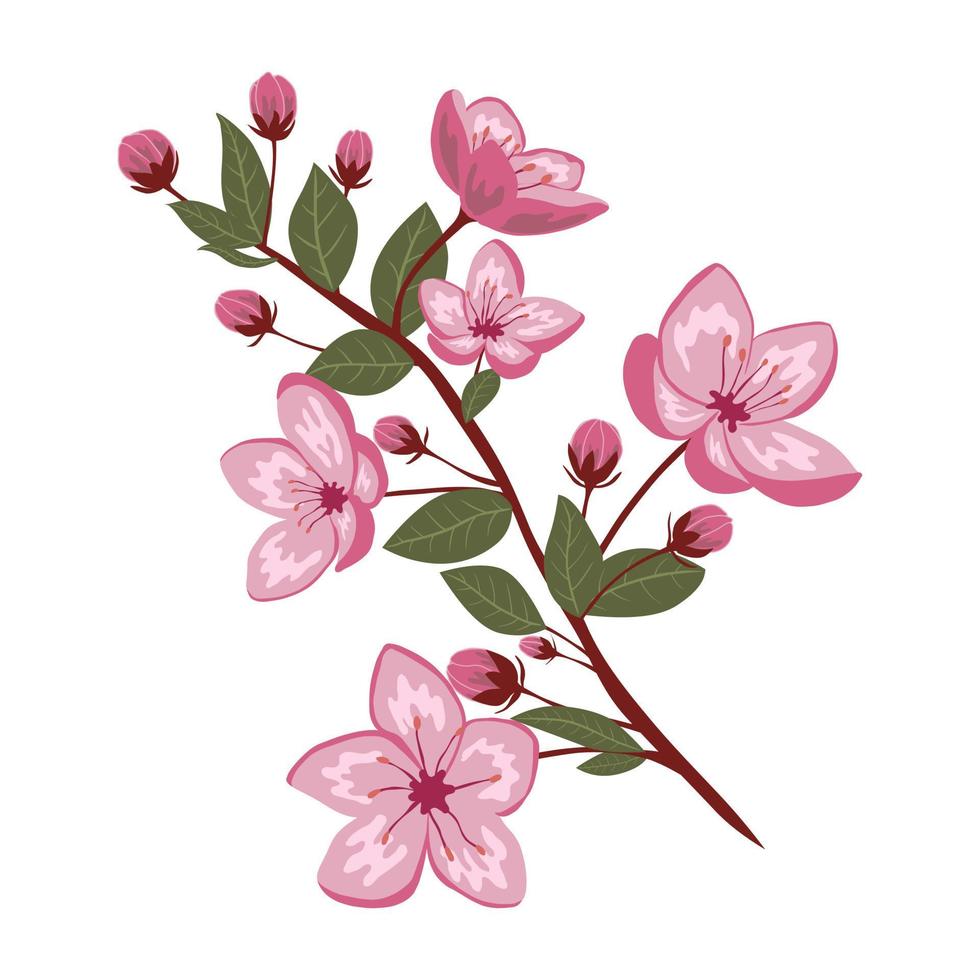 Cute spring cherry blossom vector isolated illustration