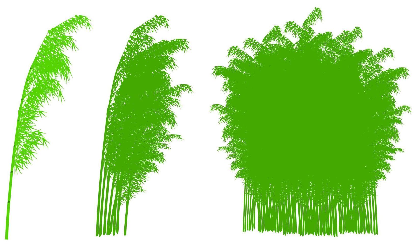 silueta de bambú, fondo de bambú vectorial vector