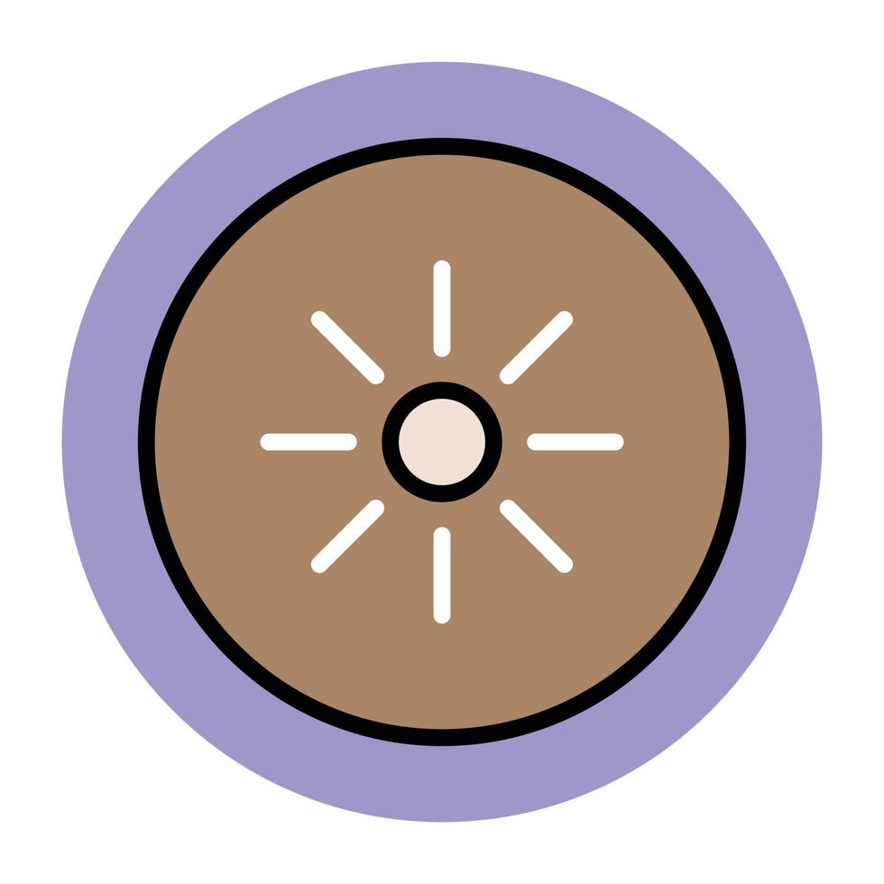 Kiwi Fruit Concepts vector