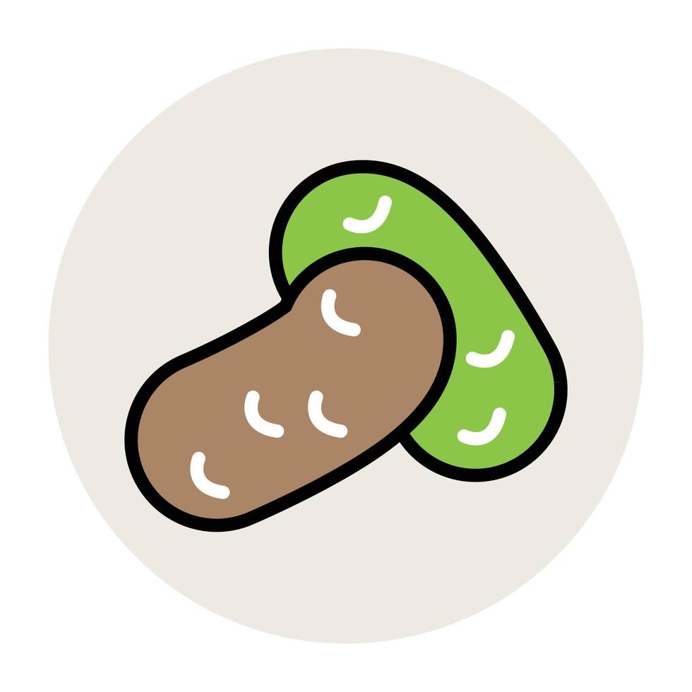 Trendy Beans Concepts vector